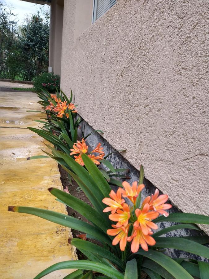 Apartmán Orange Río Cuarto Exteriér fotografie